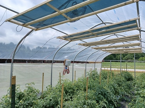 Agrivoltaics alt text