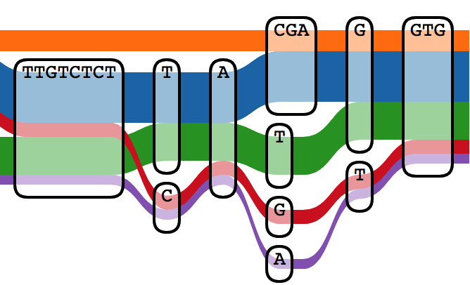 Pangenome tube alt text